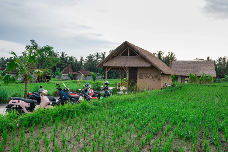 Pondok Mawas Hotel