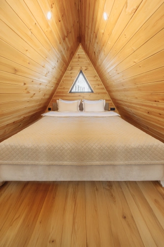 A-Frame with park view