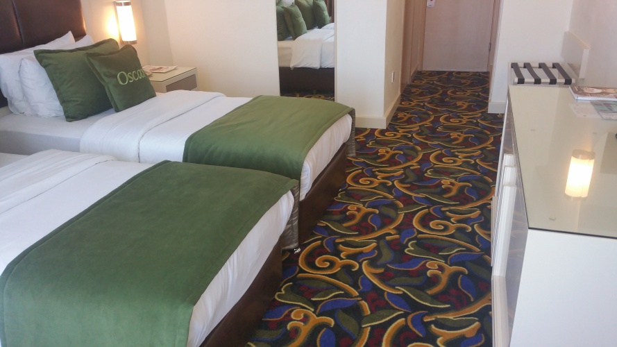 Standard Twin room with balcony and with view