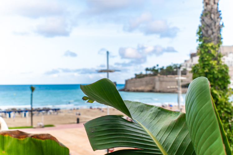 Duna Hotel Boutique photo 45