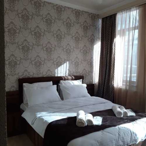 Standard Double room with balcony and with mountain view