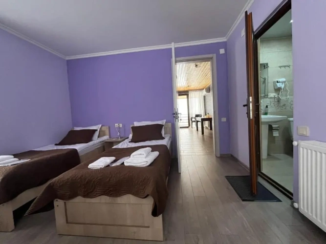 Standard Suite