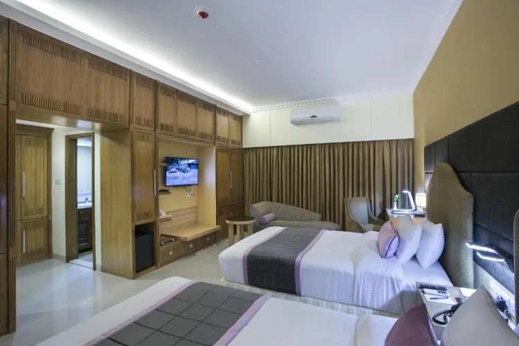Premier Twin room with city view