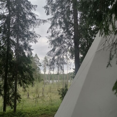 Фотография номера кемпинга Папоротник