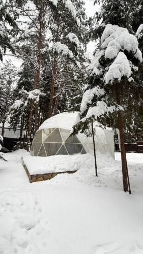 Фотография номера Коттеджа Частный дом Сфера в Лесу