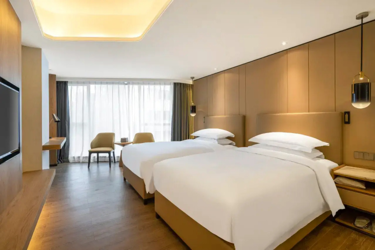 Deluxe Twin room with view