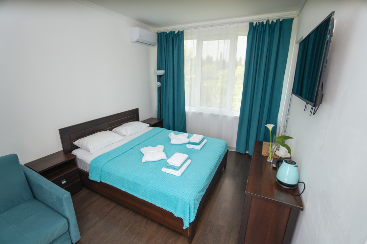 Deluxe Double room with pool view