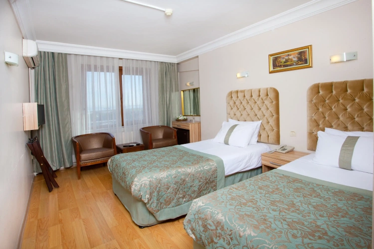 Standard Twin room with view