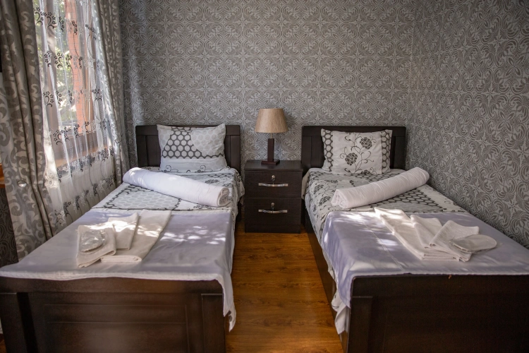 Standard Twin room with balcony