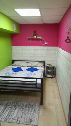 Фотография номера гостиницы Travel Inn Тимирязевская