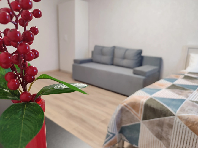 Фотография номера квартиры Апартаменты в ЖК Счастье возле Града