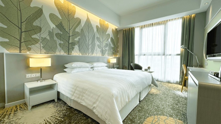 Deluxe Double room with city view