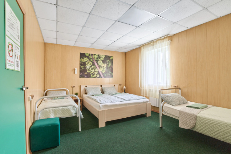 Фотография номера гостиницы Зеленый