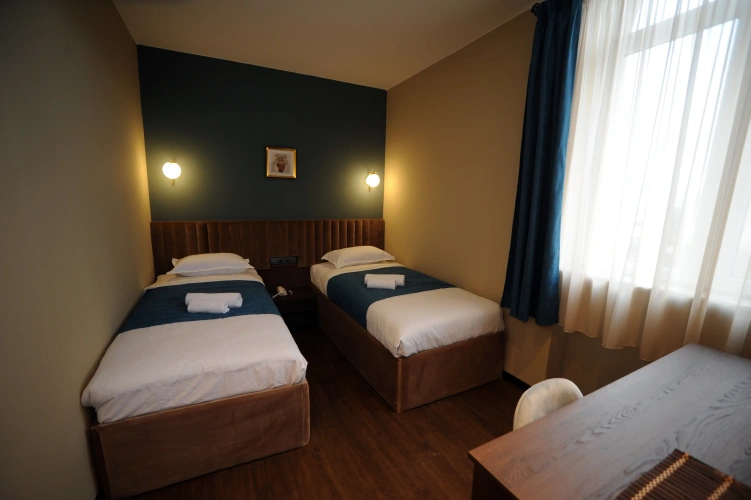 Standard Twin room with view
