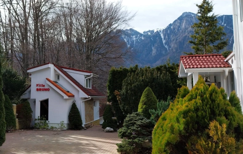 1 Bedroom Villa with view