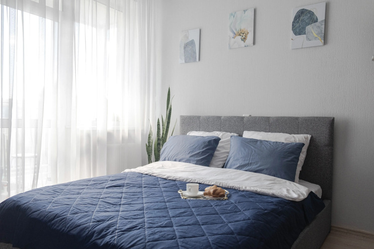 Фотография номера квартиры Квартира Медвежья берлога