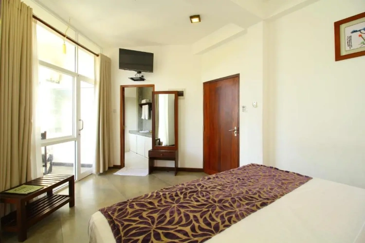 Deluxe Double room with balcony and with view