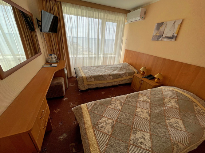 Фотография номера гостиницы Россия