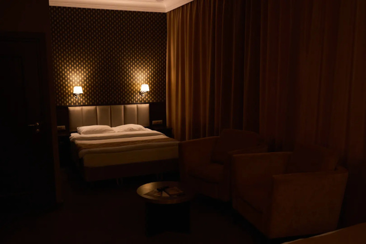 Фотография номера гостиницы Родина