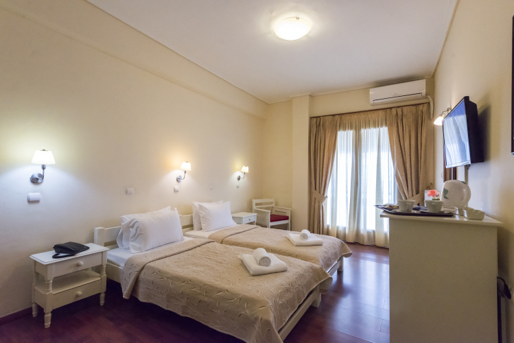 Standard Double room with balcony and with view