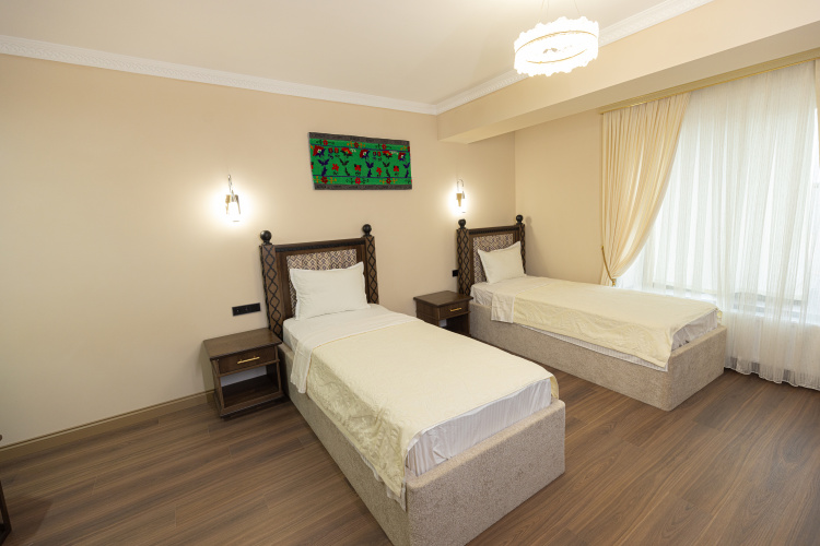 Standard Twin room with view