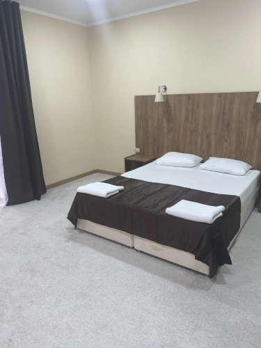 Standard Double room with balcony and with view