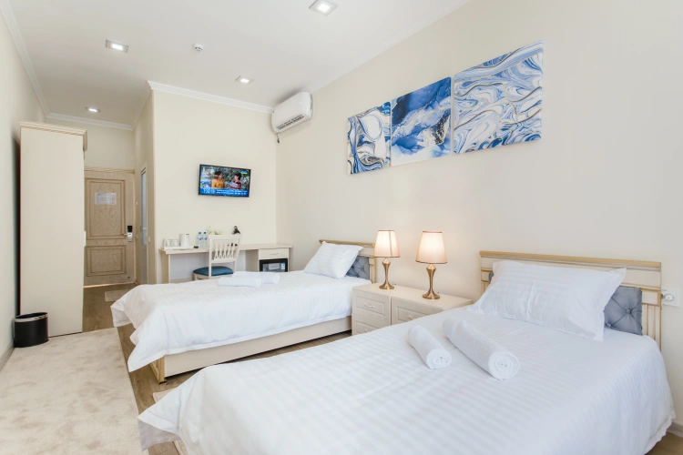 Standard Twin room with view