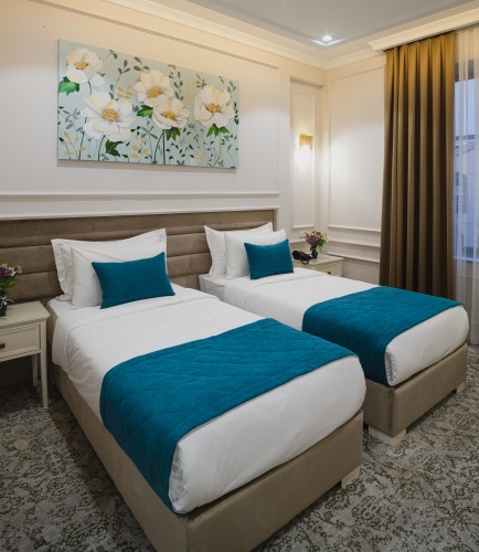 Standard Twin room with city view
