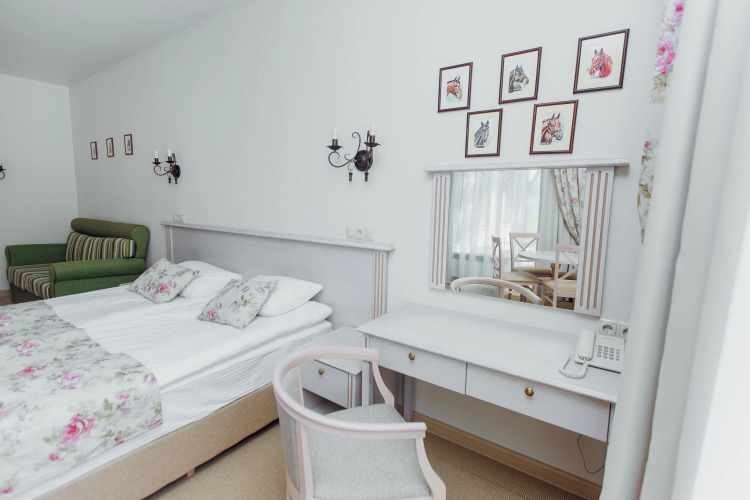 Фотография номера гостиницы Парк-отель Фестиваль