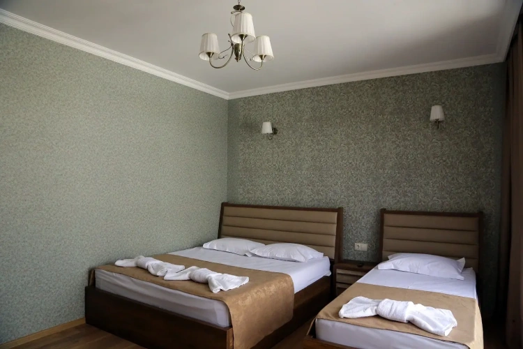 Standard Double room with balcony and with view