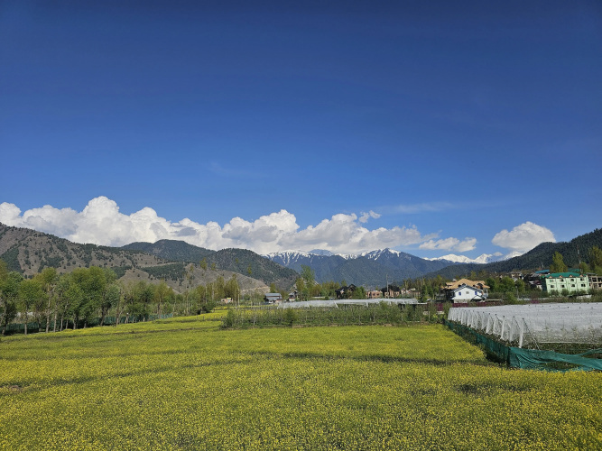 Riverwood Kokernag Hotel