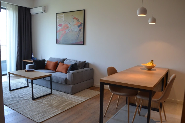 1 Bedroom Apartment with balcony and with view