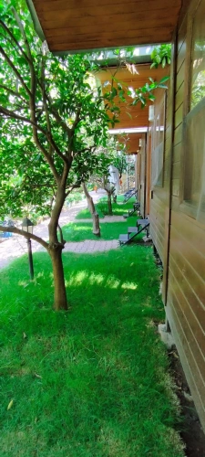 Deluxe Bungalow with garden view