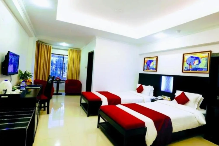 Deluxe Twin room with view