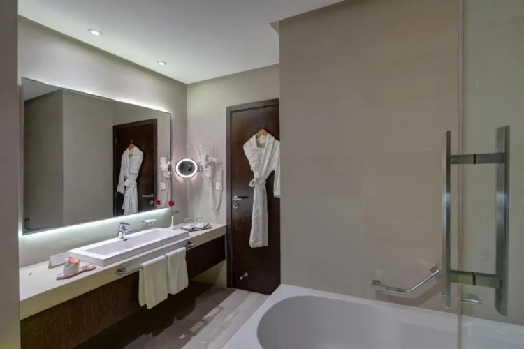 Superior Twin room with city view