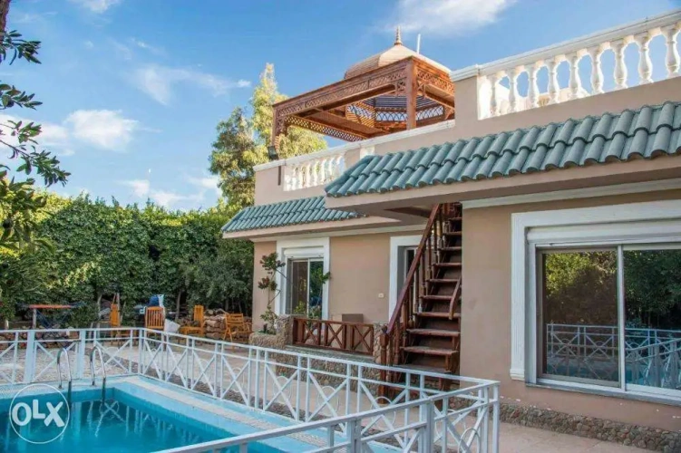 Luxury Villa