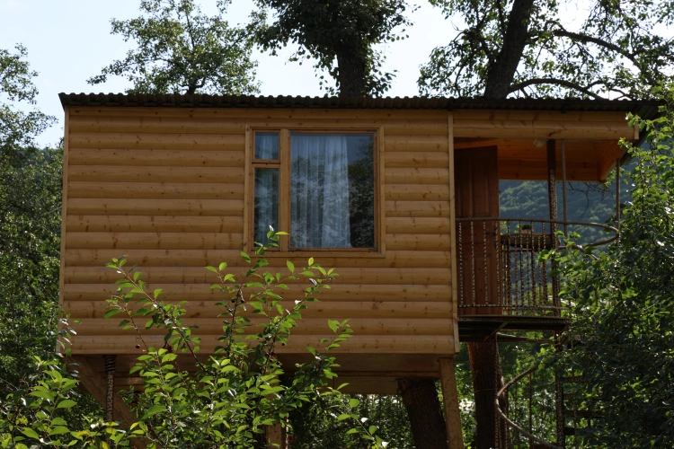Double Chalet with balcony and with mountain view