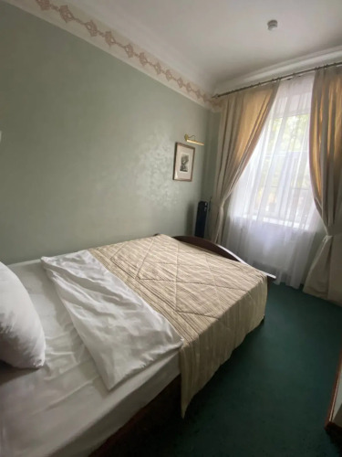 Фотография номера гостиницы Боровница