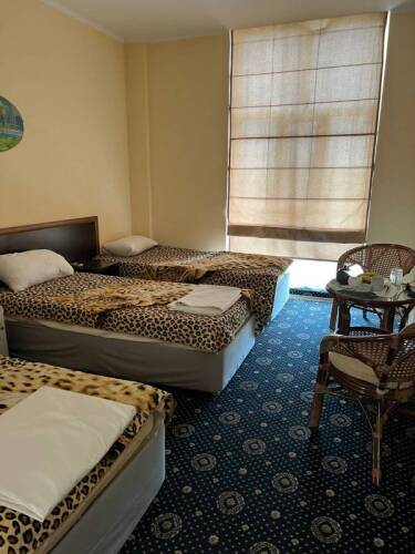 Фотография номера гостиницы Тимоша