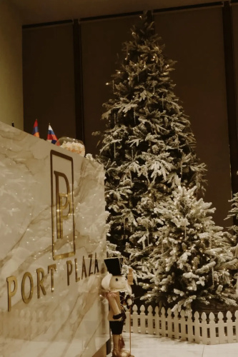 Port Plaza EVN