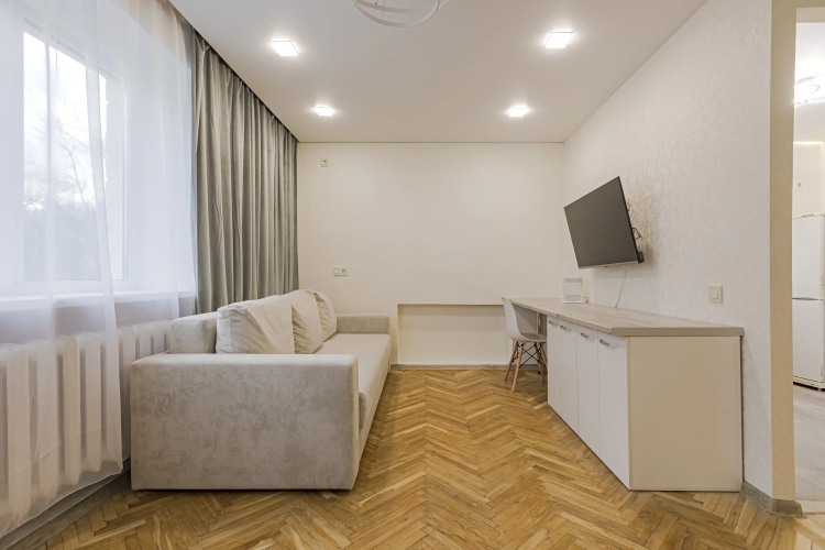 V Tsentre Goroda Flat