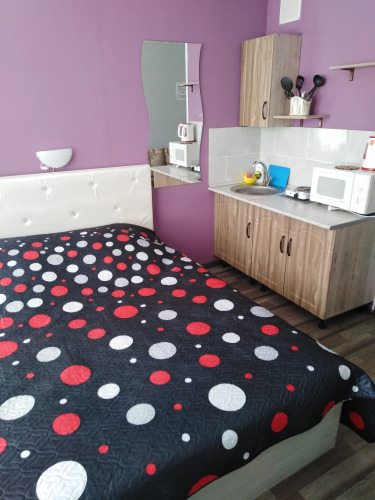 Фотография номера гостиницы Дом Родной