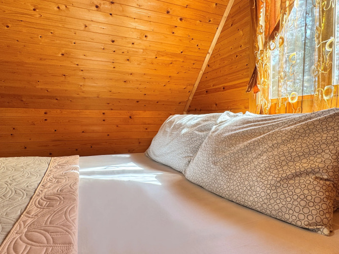   - изображение 1