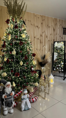 Фотография номера Коттеджа Частный Дом в горах