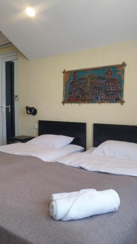 Standard Twin room with view