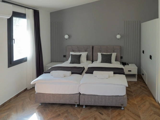 Standard Twin room with balcony and with mountain view