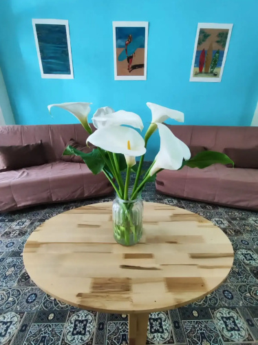 Studio Flat