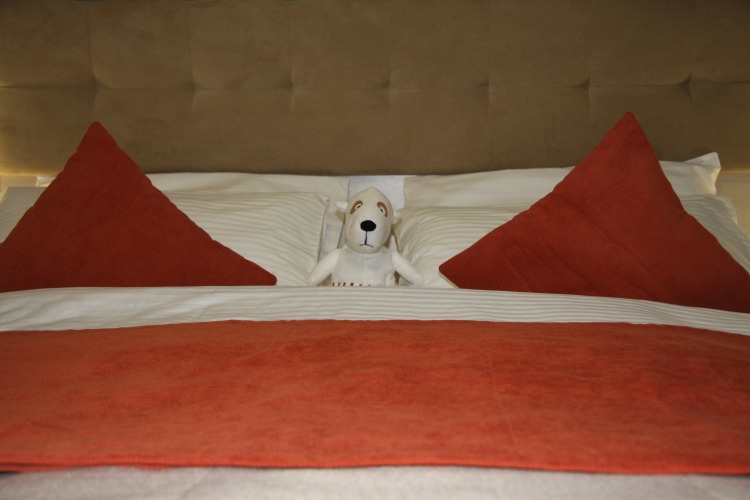 Фотография номера квартиры Апартаменты