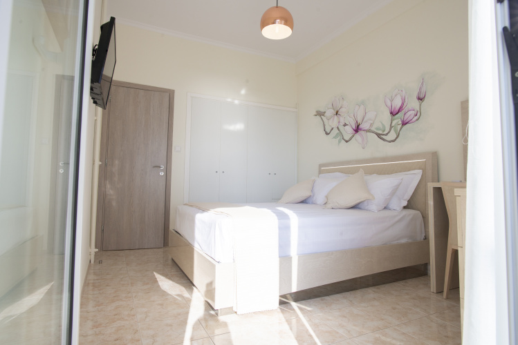 Standard Double room with balcony and with view