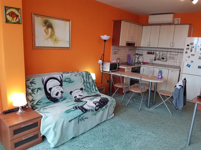 Фотография номера квартиры Апартаменты Дунайский Проспект 23